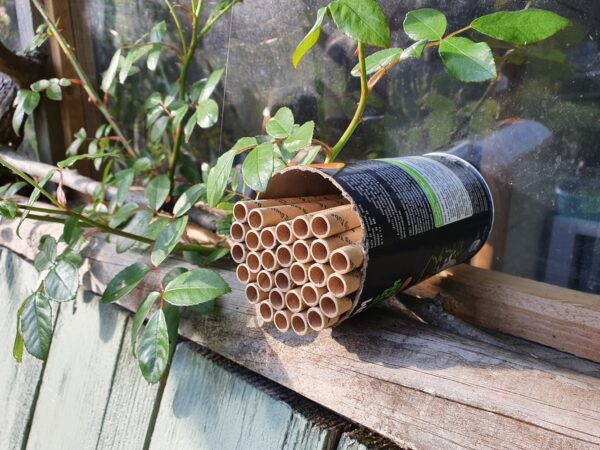 Solitary Bee Nesting Tubes