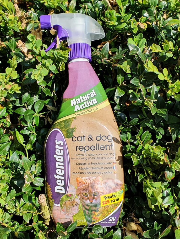 What Is A Natural Dog Repellent