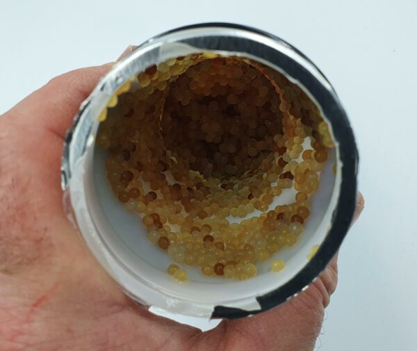 Slow Release Long Life Ant Nematodes