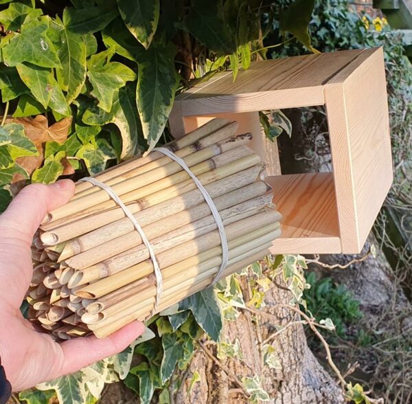 Solitary Bee Reed Bundle