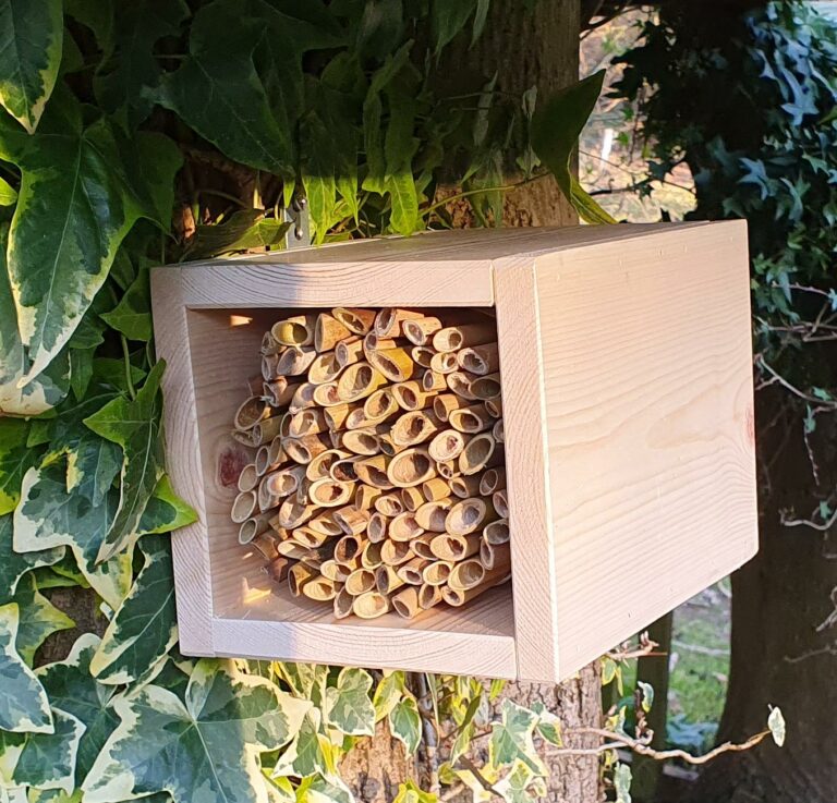 Solitary Bee Reed Bundle – Natural Nest Tubes | Green Gardener