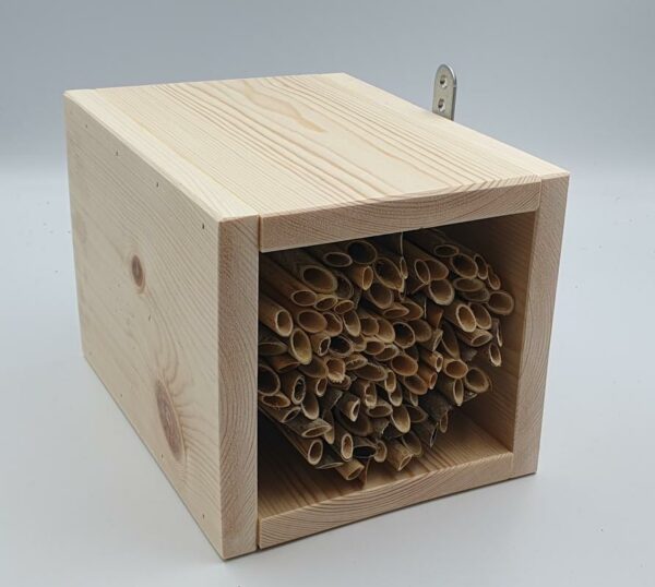 Solitary Bee Reed Bundle