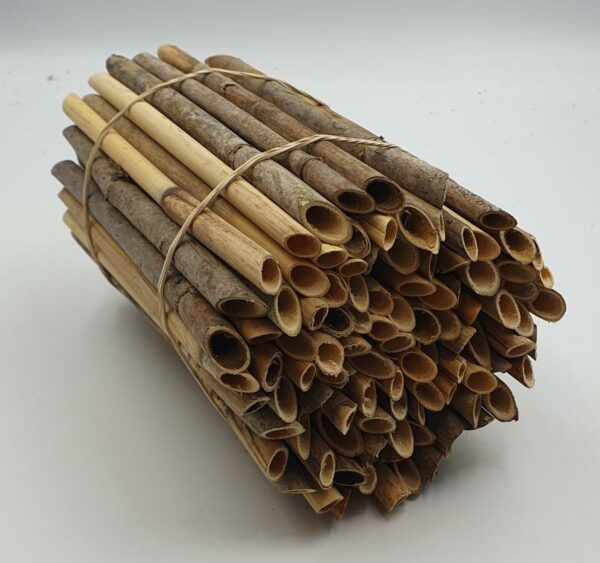 Solitary Bee Reed Bundle