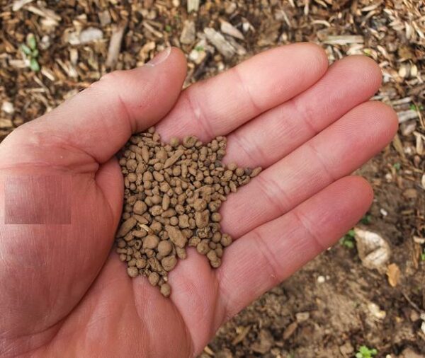 Easysow Butterfly & Bee Seeds