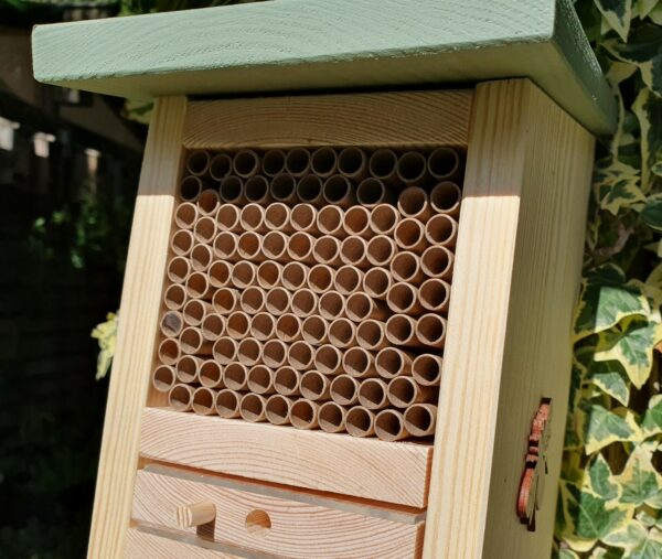 Solitary Bee Factory