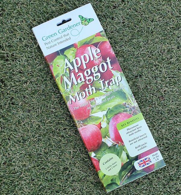 Codling Moth Trap