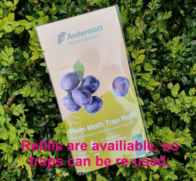 Plum Moth Trap Refill Green Gardener