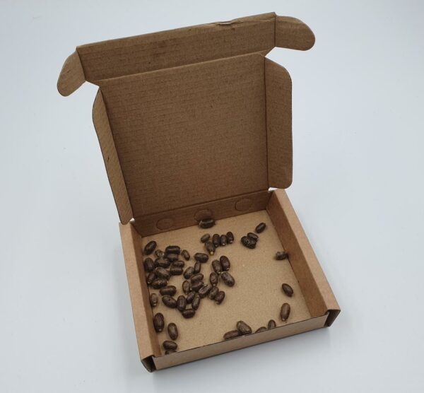 Solitary Bee Hotel with a Release Chamber