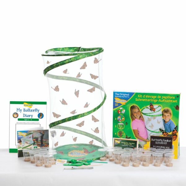 Classroom Butterfly Kit