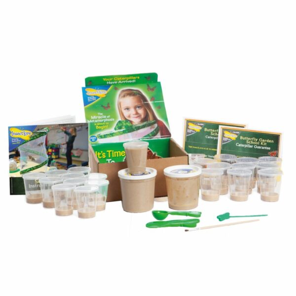 Classroom Butterfly Kit