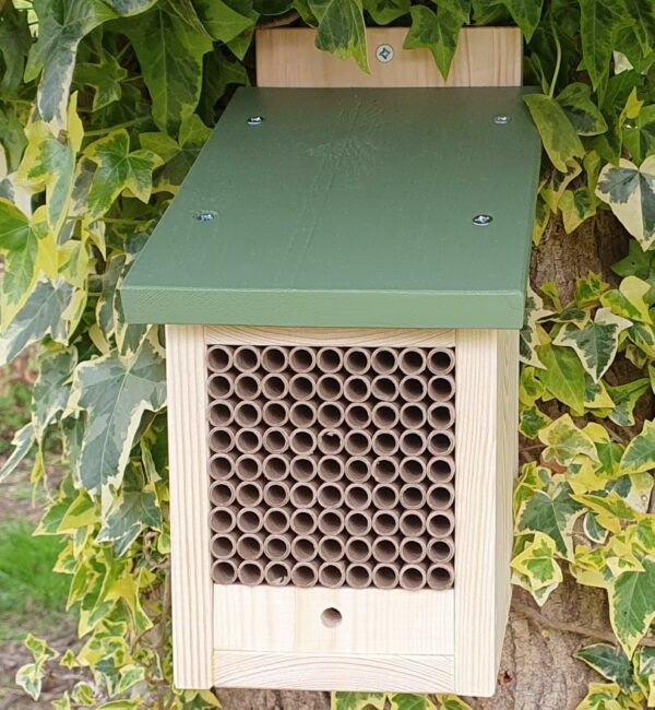 Solitary Bee House with a Release Chamber