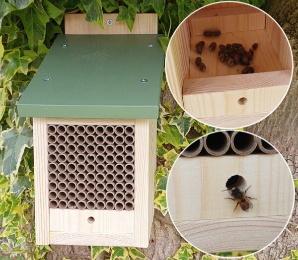 Solitary Bee House with a Release Chamber