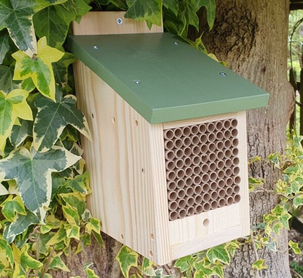 Solitary Bee House with a Release Chamber