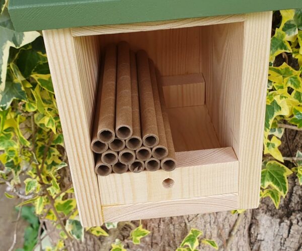 Solitary Bee House with a Release Chamber