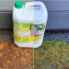 MossOff Multi Surface Moss Killer