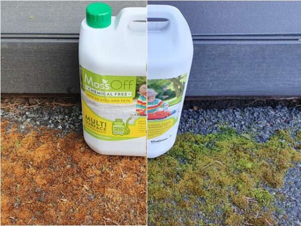 MossOff Multi Surface Moss Killer