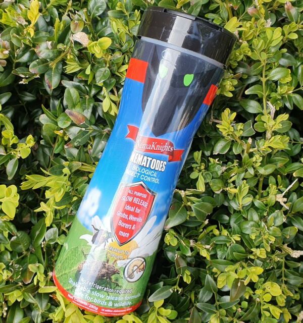 Slow Release Long Life Grub & Weevil Nematodes