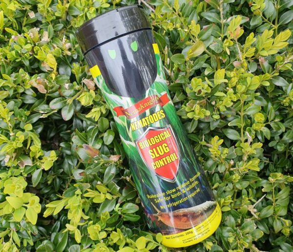Slow Release Long Life Slug Nematodes