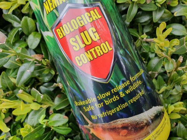 Slow Release Long Life Slug Nematodes