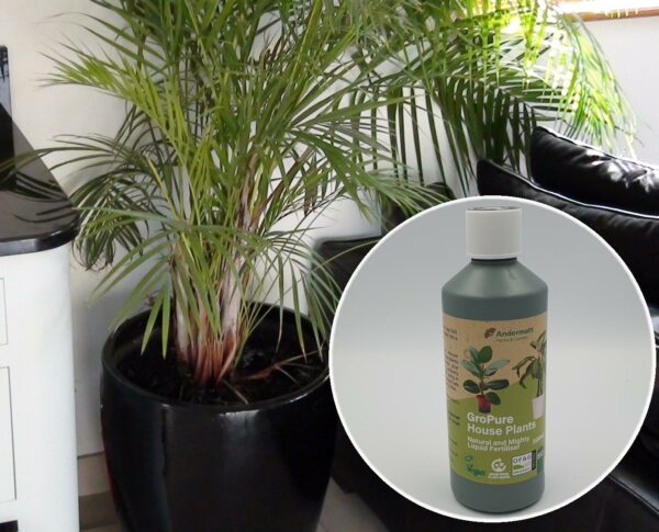 Vegan Liquid House Plant Fertliser