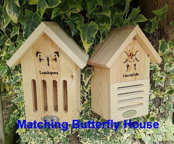Ladybird Shelter