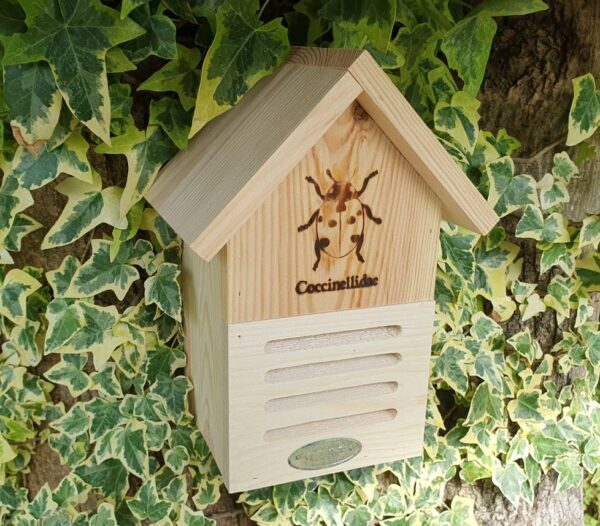 Ladybird Shelter