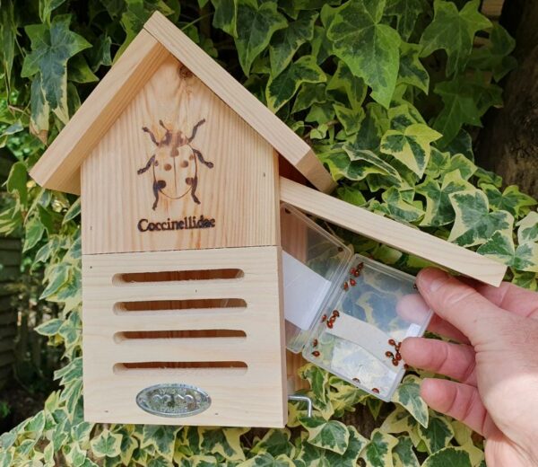 Ladybird Shelter