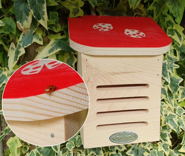 Ladybird Villa