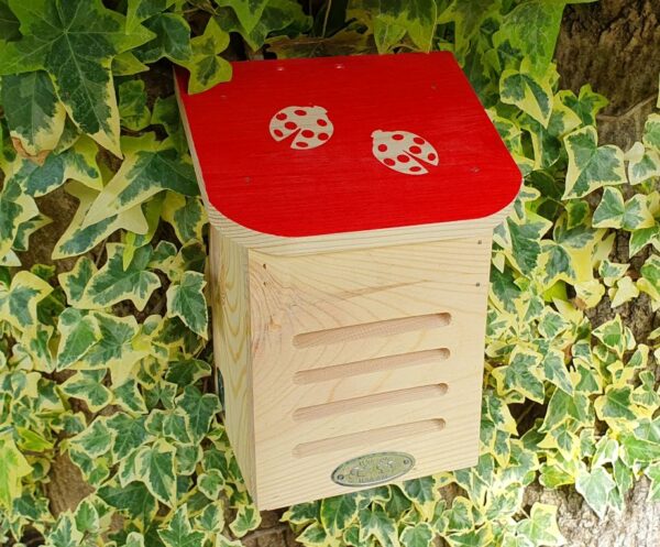 Ladybird Villa