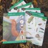 Garden Safari Wildlife Pack