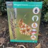Winged Insects Wildlife Pack