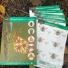 Winged Insects Wildlife Pack