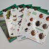 Garden Safari Wildlife Pack