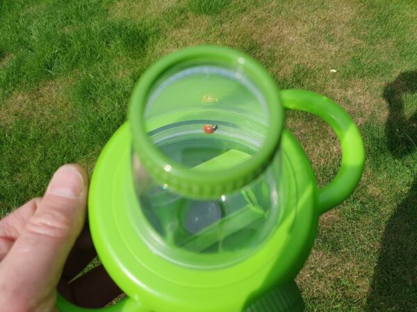 Magnifying Insect Viewer