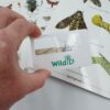 Winged Insects Wildlife Pack