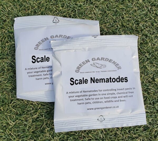 Scale Nematodes (4 packs)