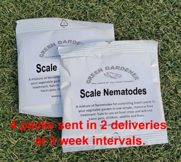 Scale Emergency Pest Pack
