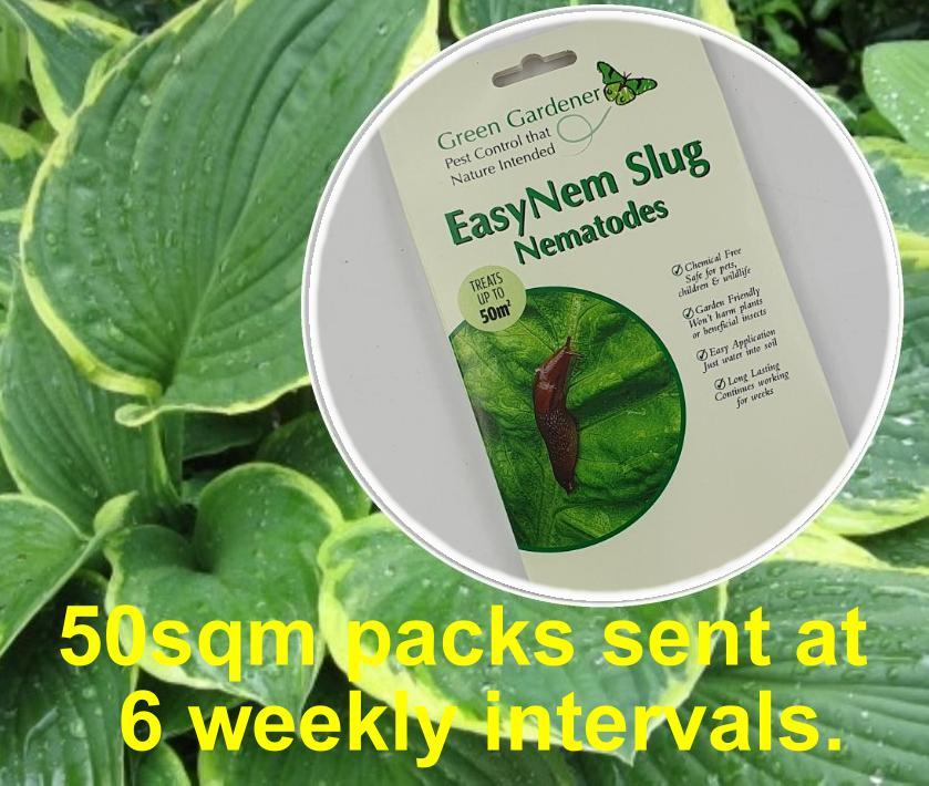 EasyNem Slug Nematodes Programmes