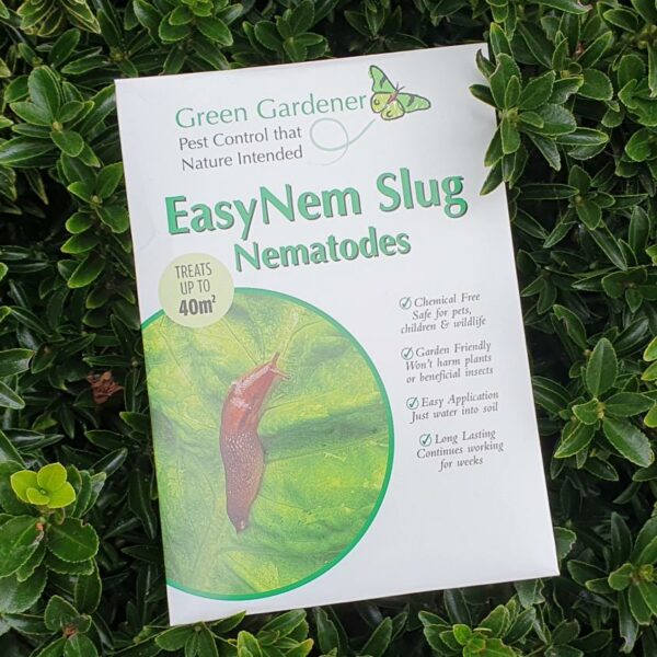 EasyNem Slug Nematodes 40 sqm (Nemaslug Alternative)