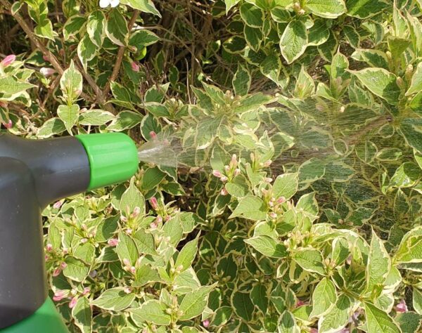 Topbuxus Rechargeable 2L Sprayer