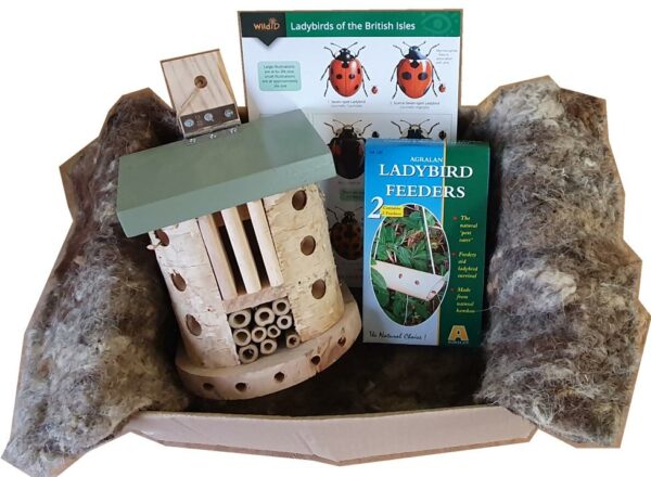 Ladybird Barn Giftbox