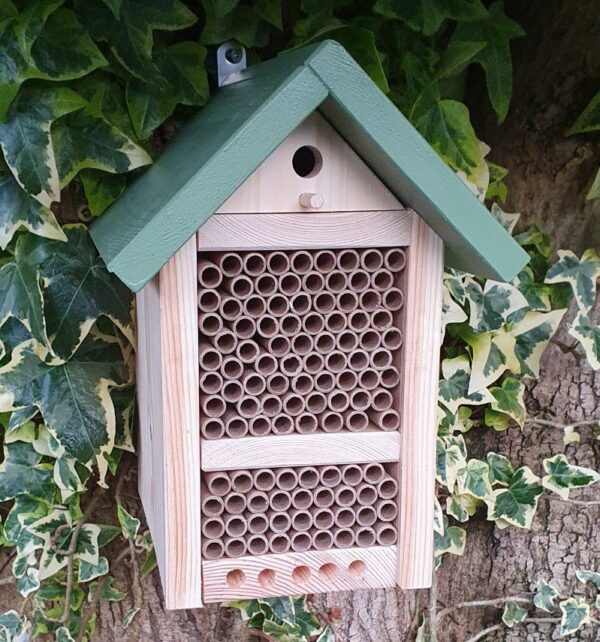 Solitary Bee Hotel with a Release Chamber