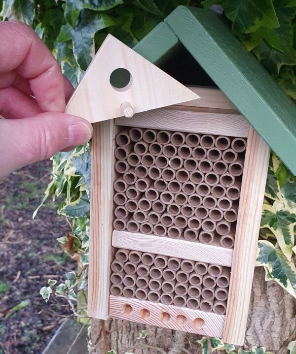 Solitary Bee Hotel with a Release Chamber