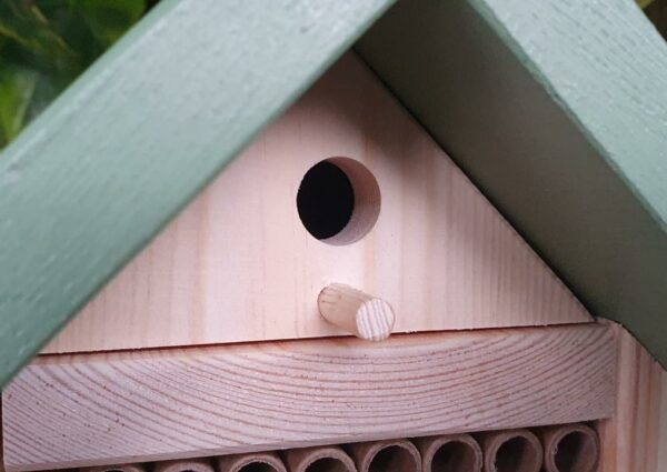 Solitary Bee Hotel with a Release Chamber