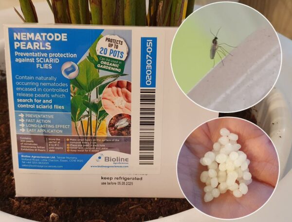 Slow Release Sciarid Fly Nematode Pearls