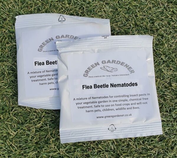 Flea Beetle Nematodes (2 packs)