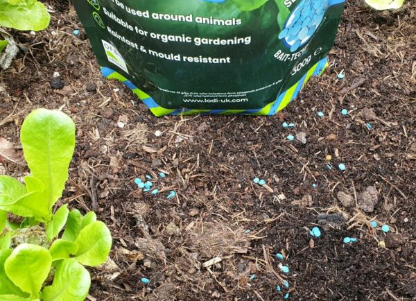 Lentil Slug Pellets - Turbo Lentils