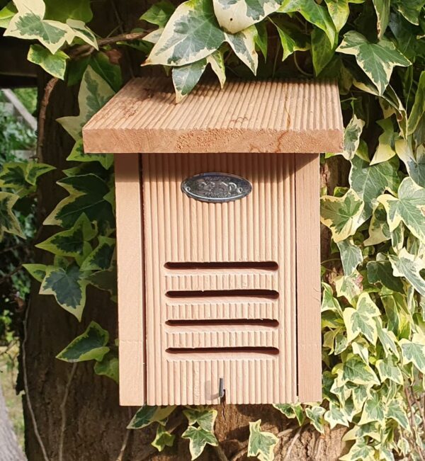 Hanging Ladybird House