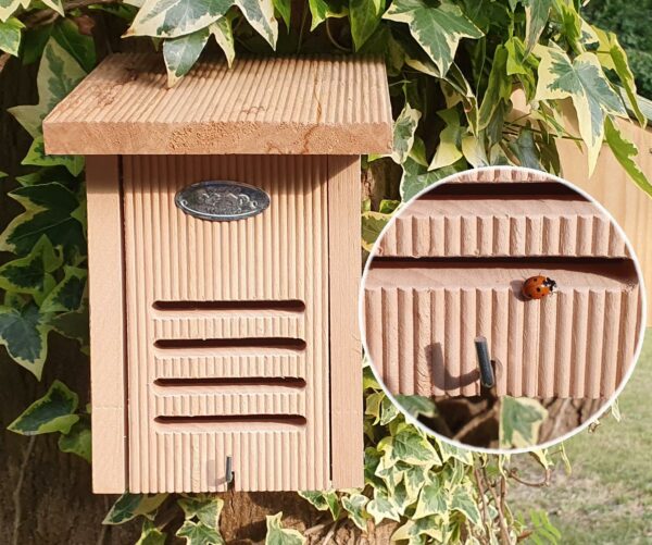 Hanging Ladybird House