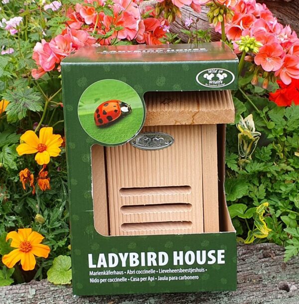 Hanging Ladybird House